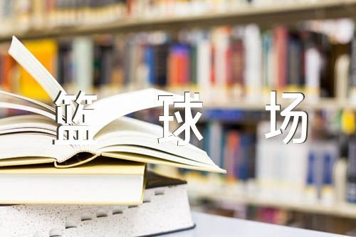 如何选择适合篮球康复训练的器材_0